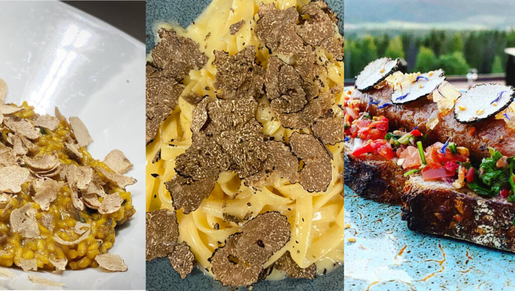 Truffle dishes